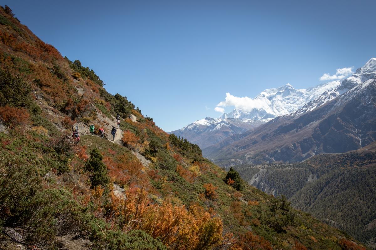 Training for 5,000 metres: a 10-week plan that actually works