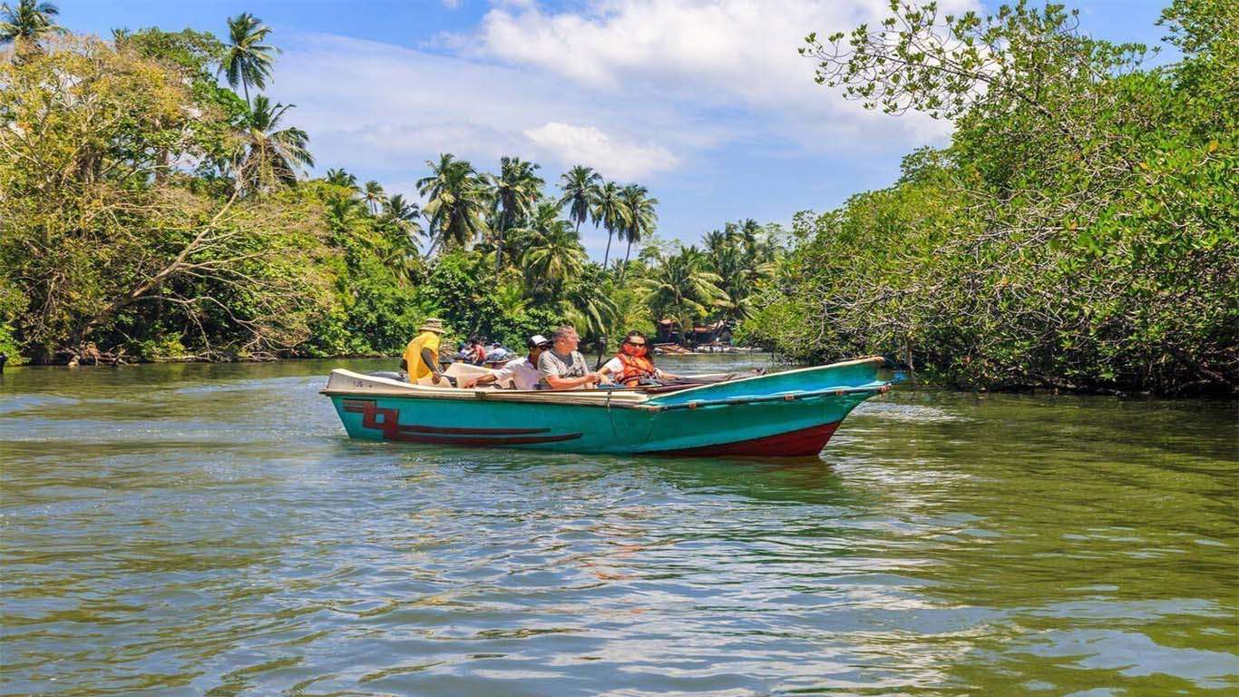 Wooden boat resting on a calm river bank surrounded by mangroves