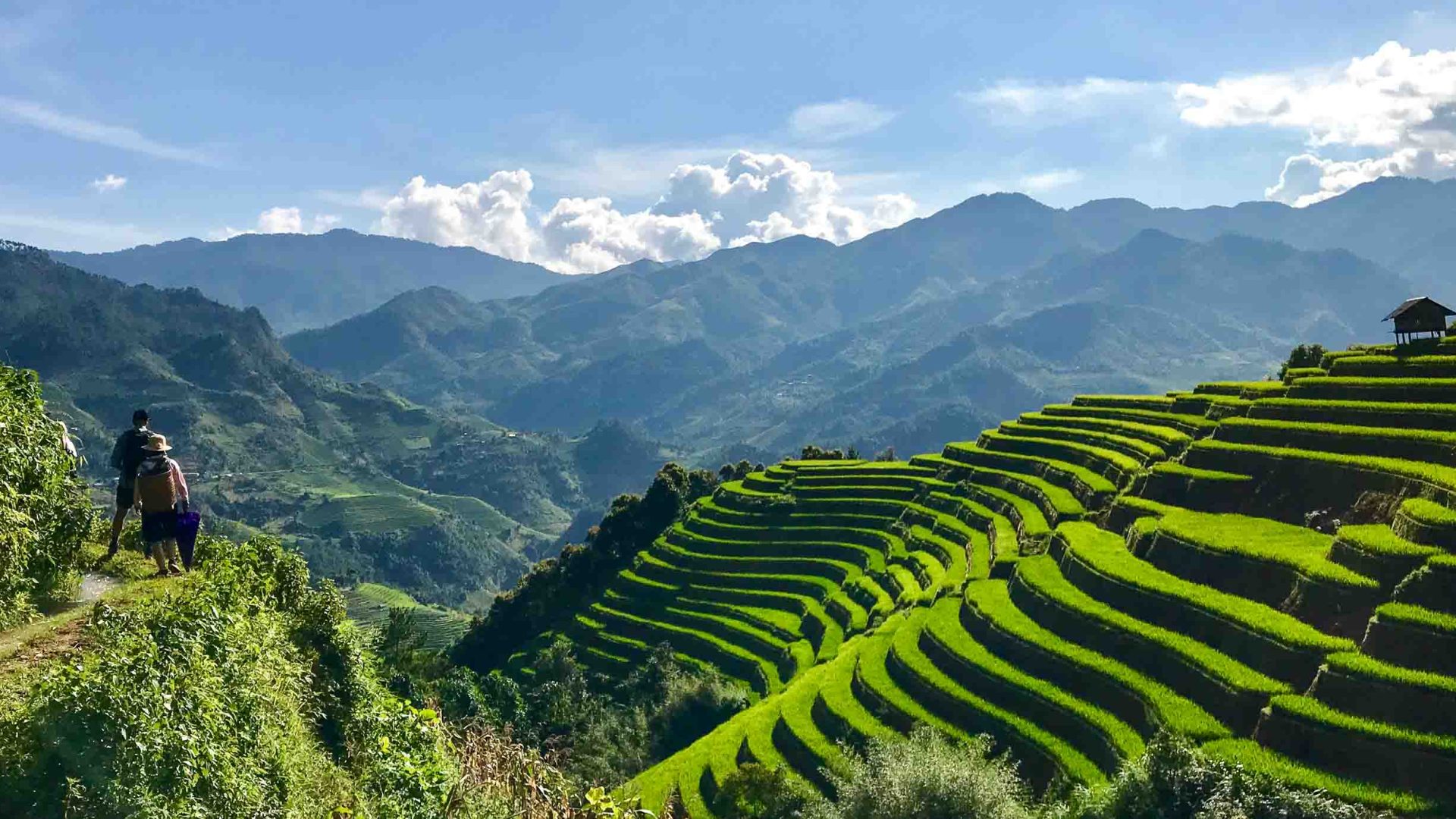 Siapkan Lahan