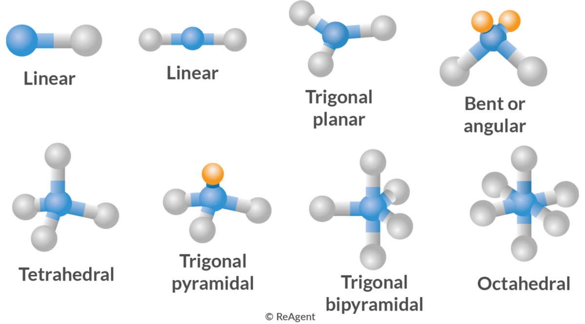 Organic Chemistry for NEET: The 15 Named Reactions That Show Up Every Single Year