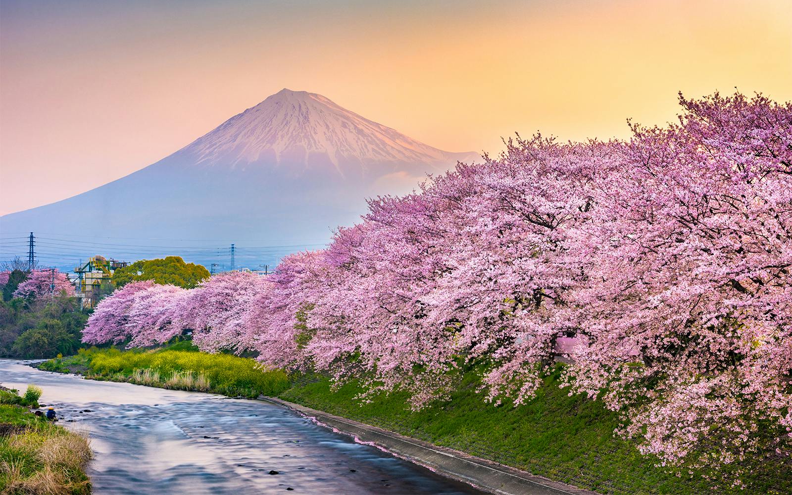 Japan New Year 2028 Countdown