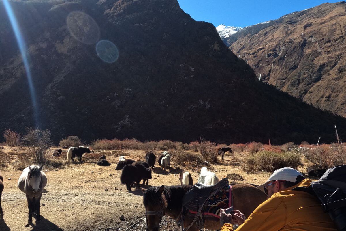 Langtang Valley