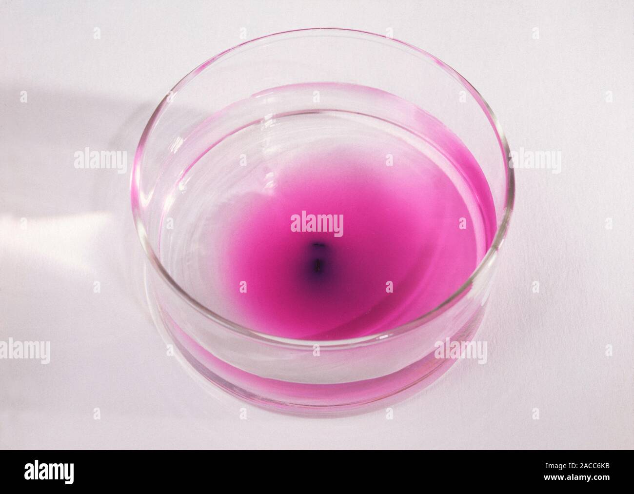 Potassium Permanganate Product
