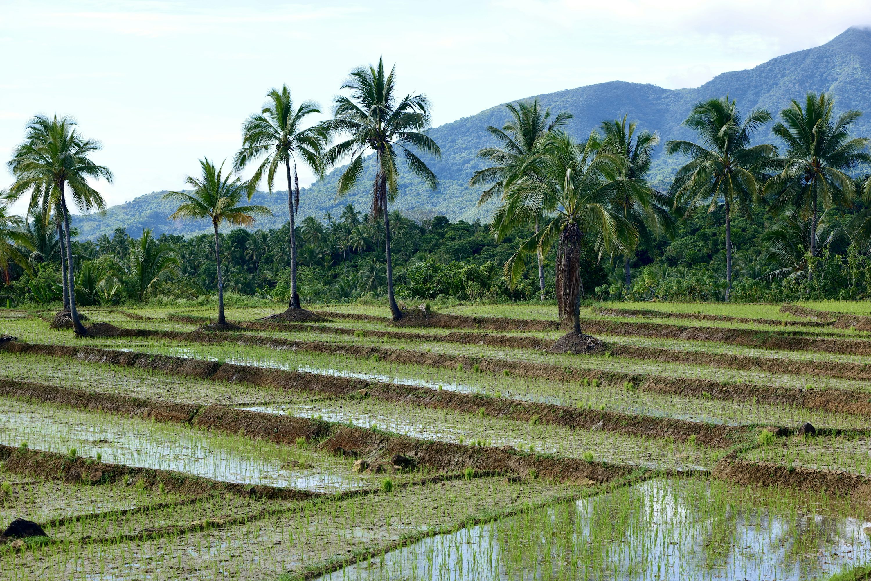 Phnom Penh — Kampot