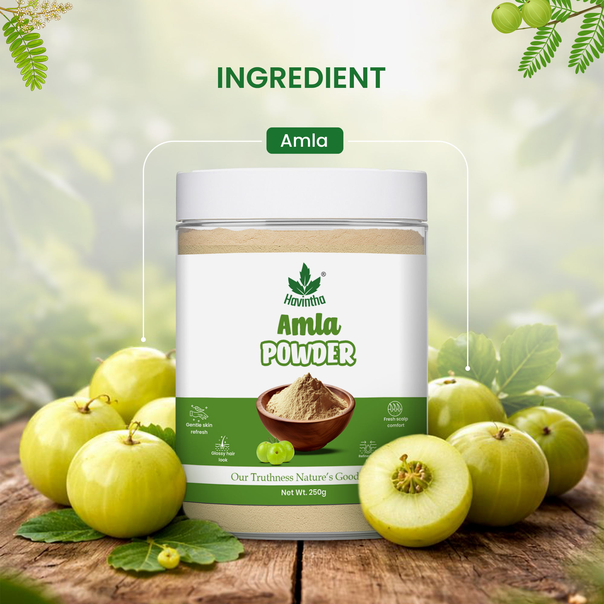 Amla (Indian Gooseberry) Extract