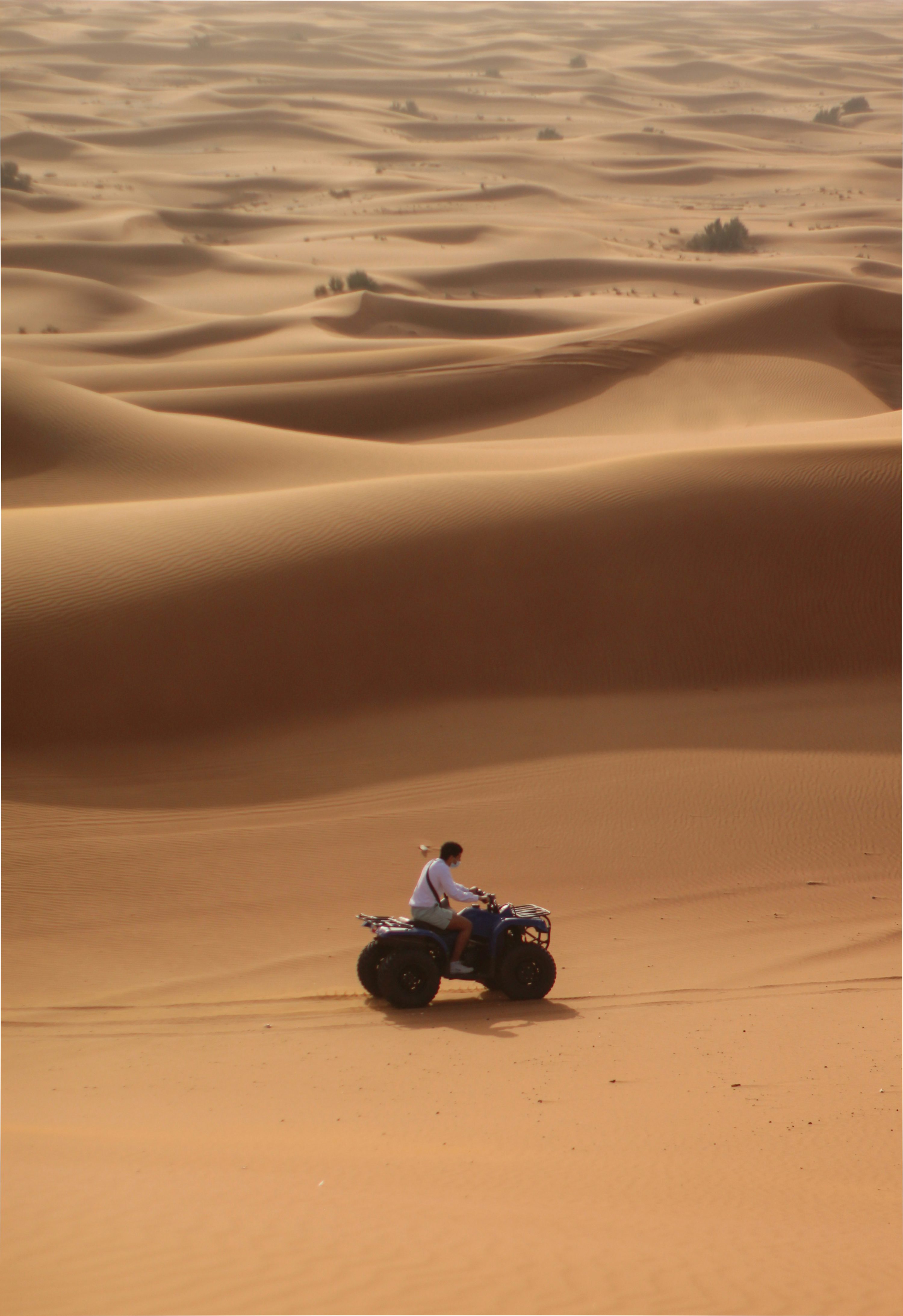 Quad Adventure & Dinner