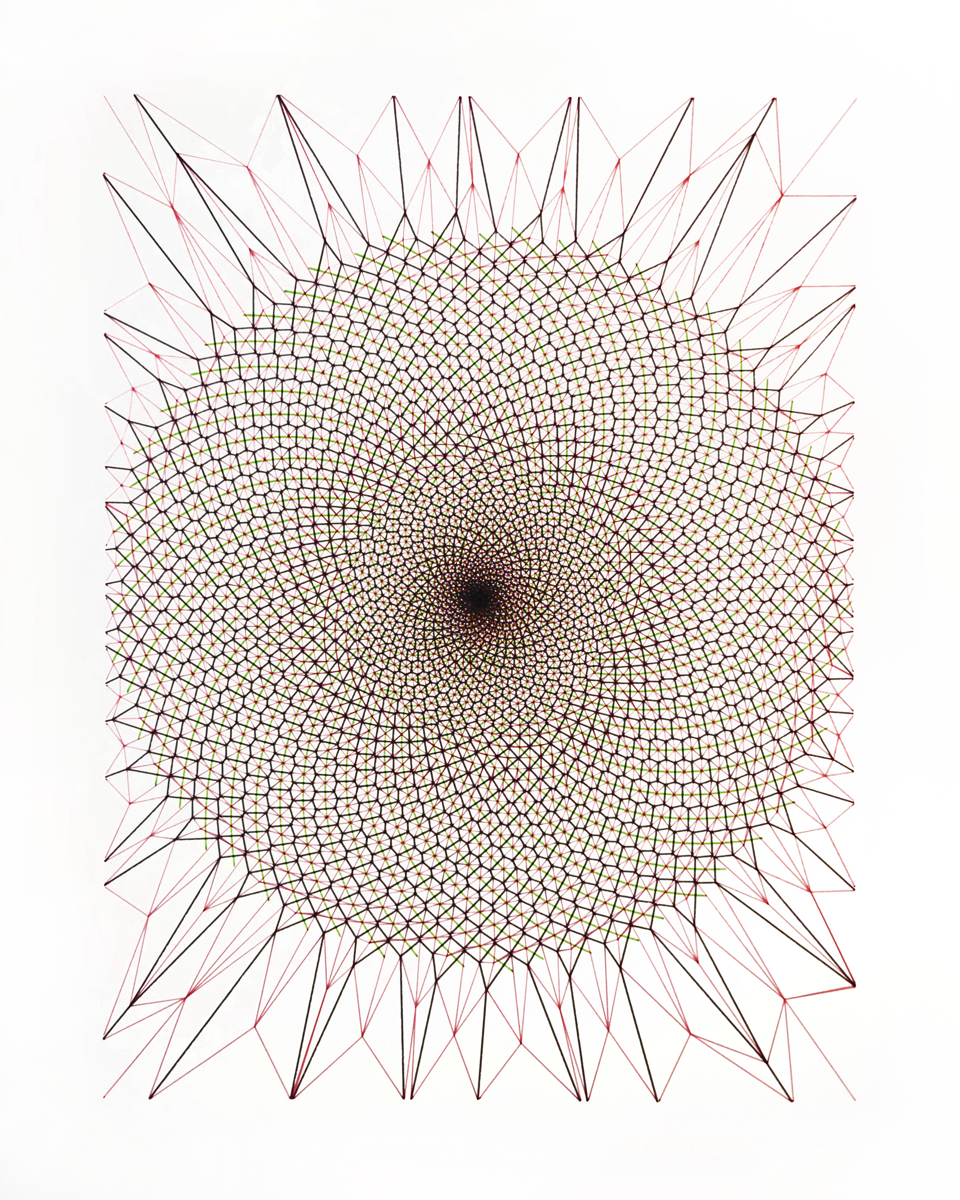 Drawing of a phyllotaxis spiral structure.