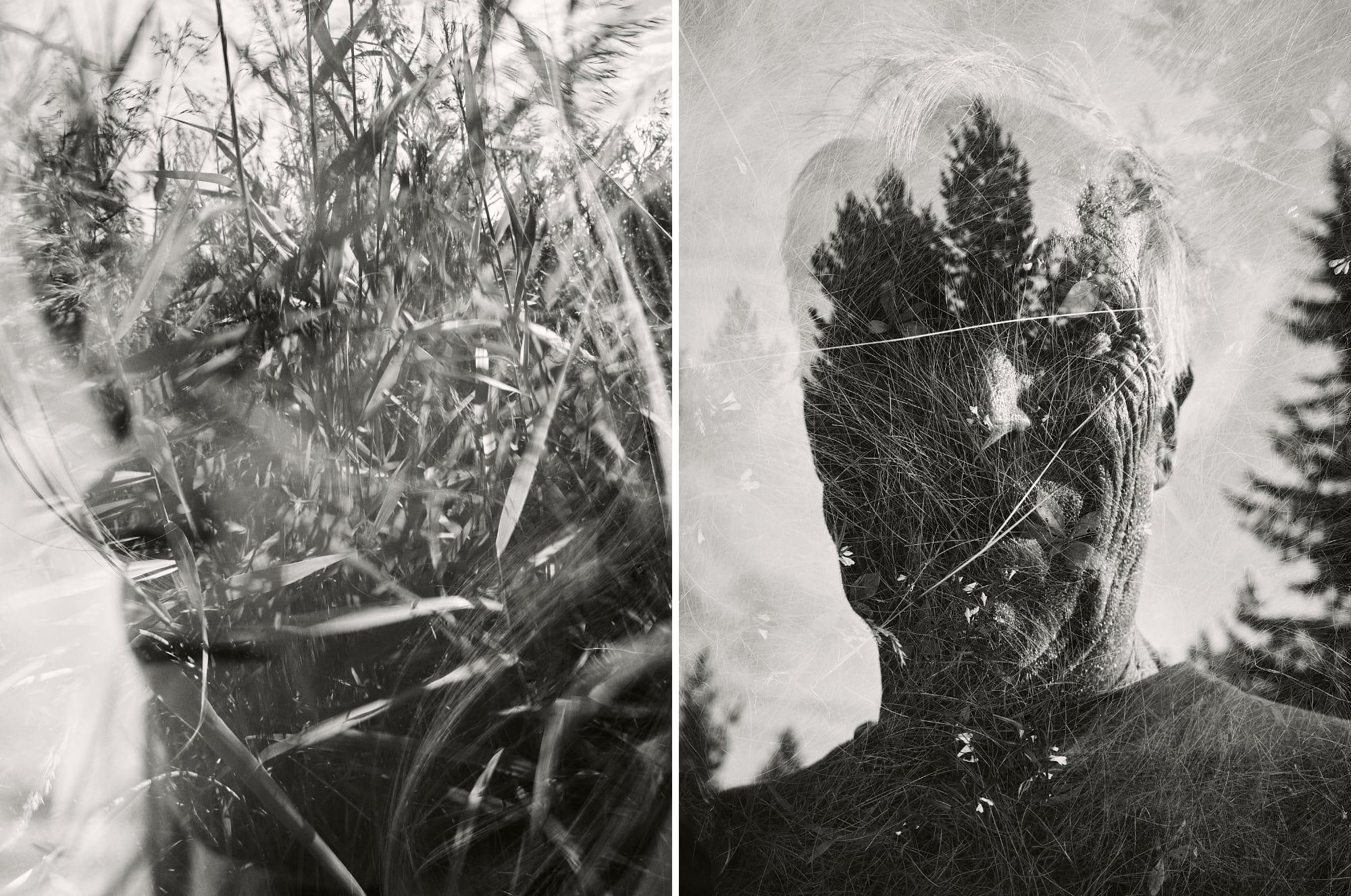 Double exposure photographs blending human profiles with forest landscapes