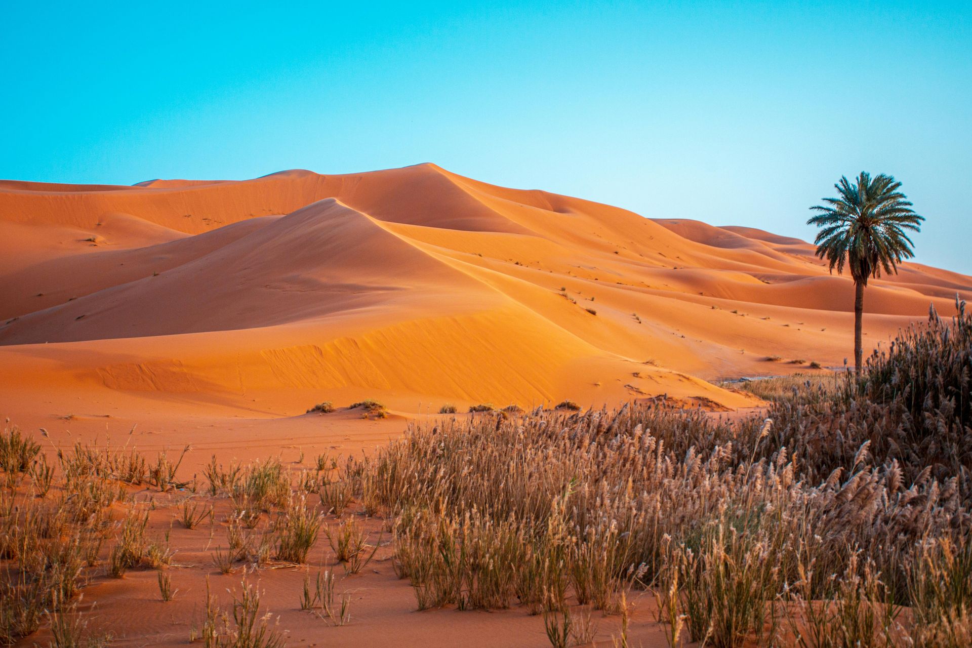 Dunes du Sahara