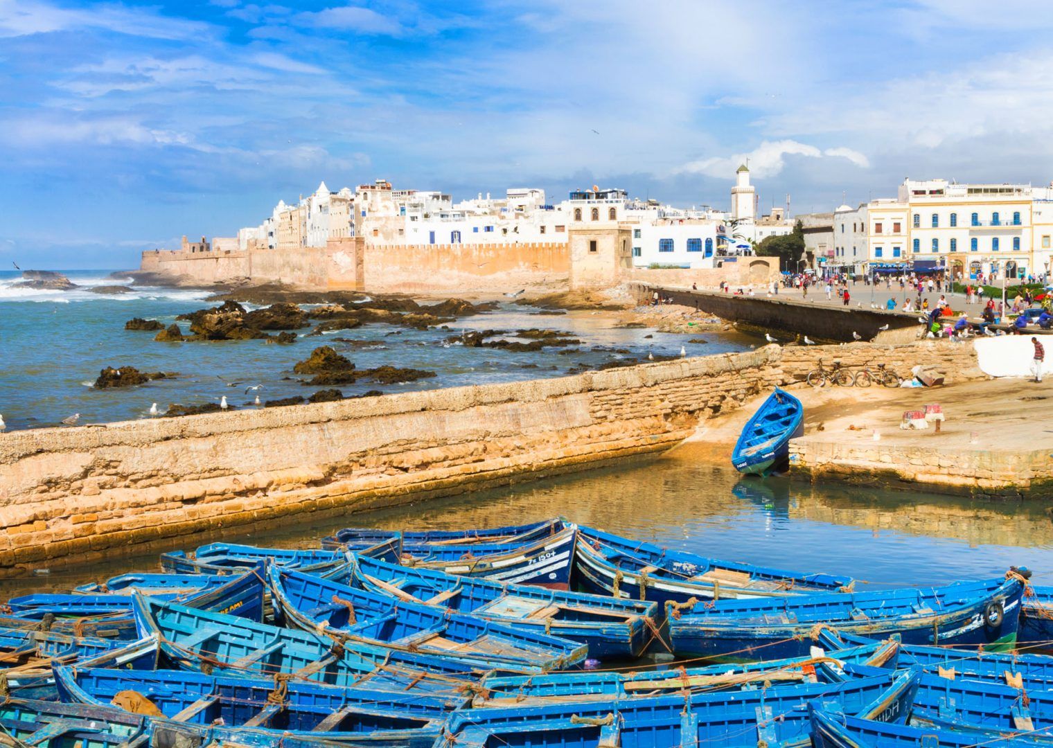 Essaouira — Coastal Serenity & Atlantic Escape private tour photo
