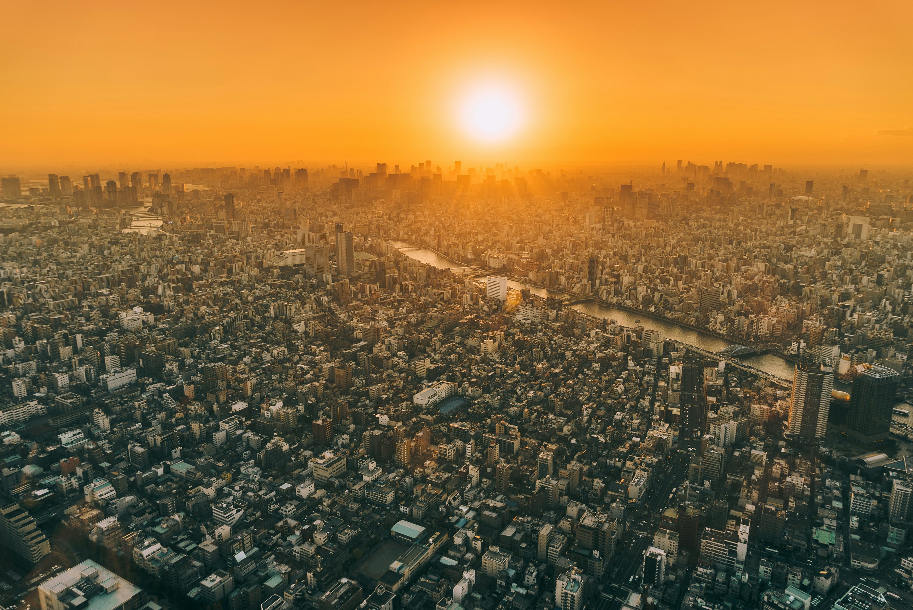 City skyline at golden hour