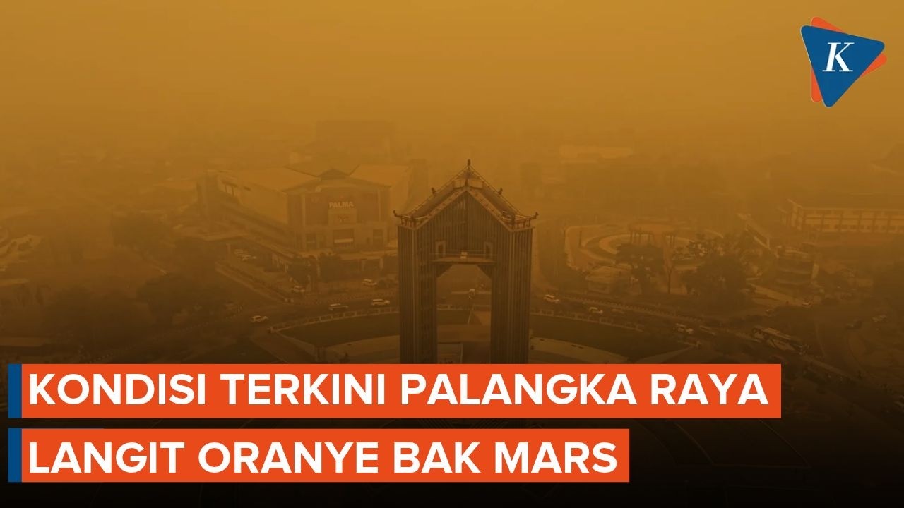 Foto pemberitaan untuk artikel "Karhutla Masih Menyala, Ini Penampakan Drone Langit Palangka Raya"