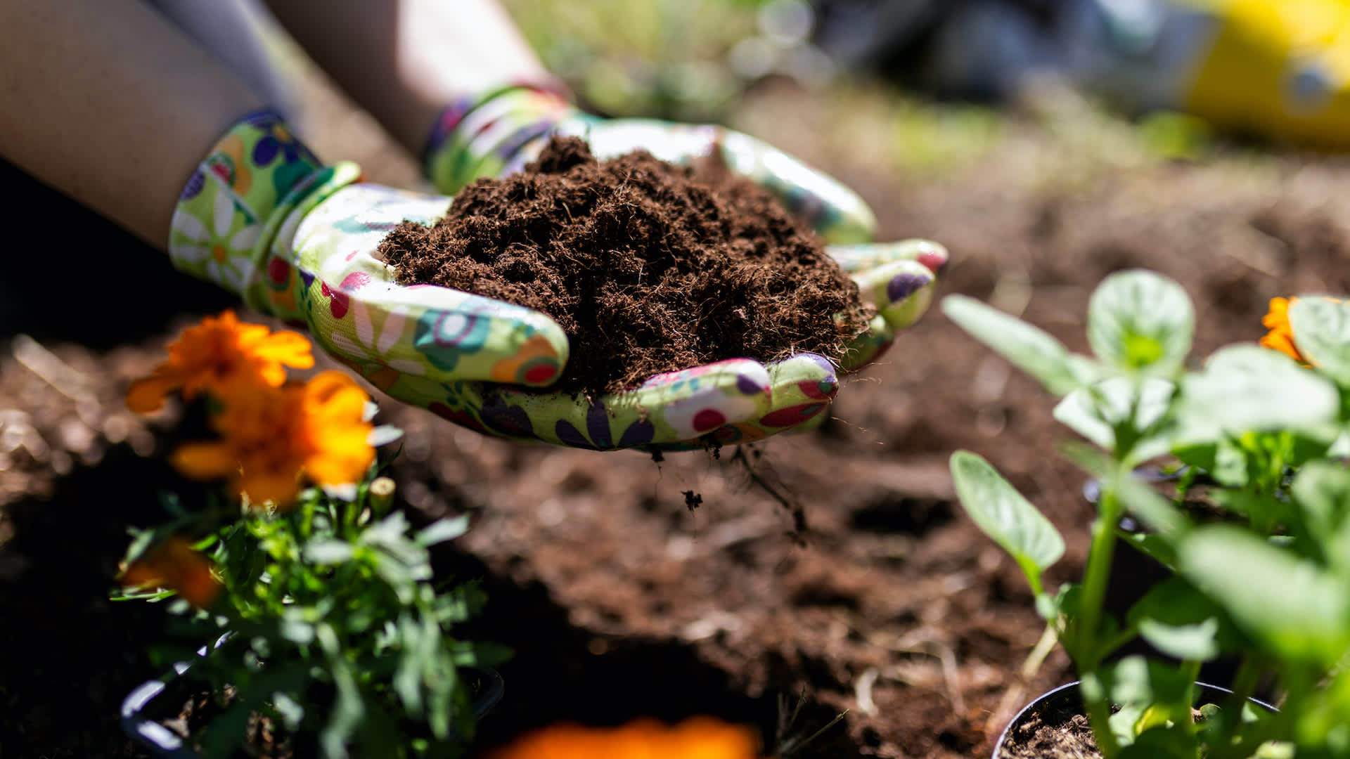 Composting and Organic Waste