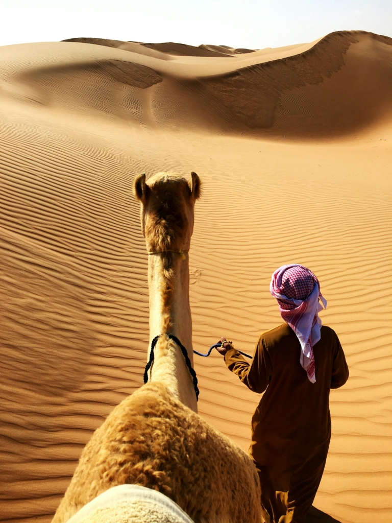 Thar Desert Dunes