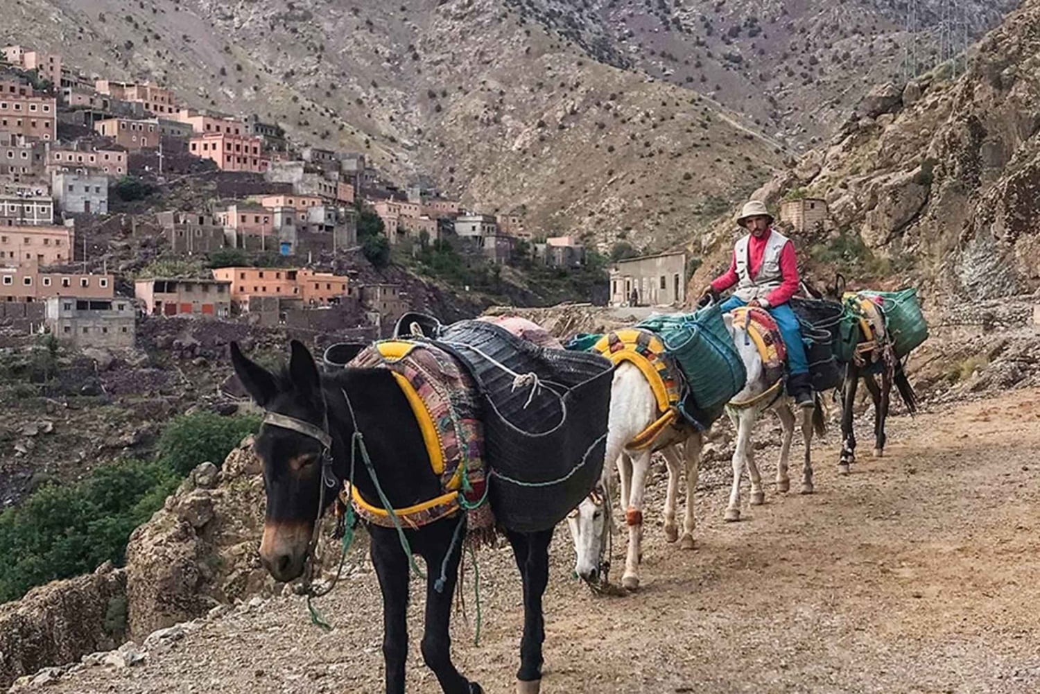 Tetouan — The North Morocco Pearl private tour photo