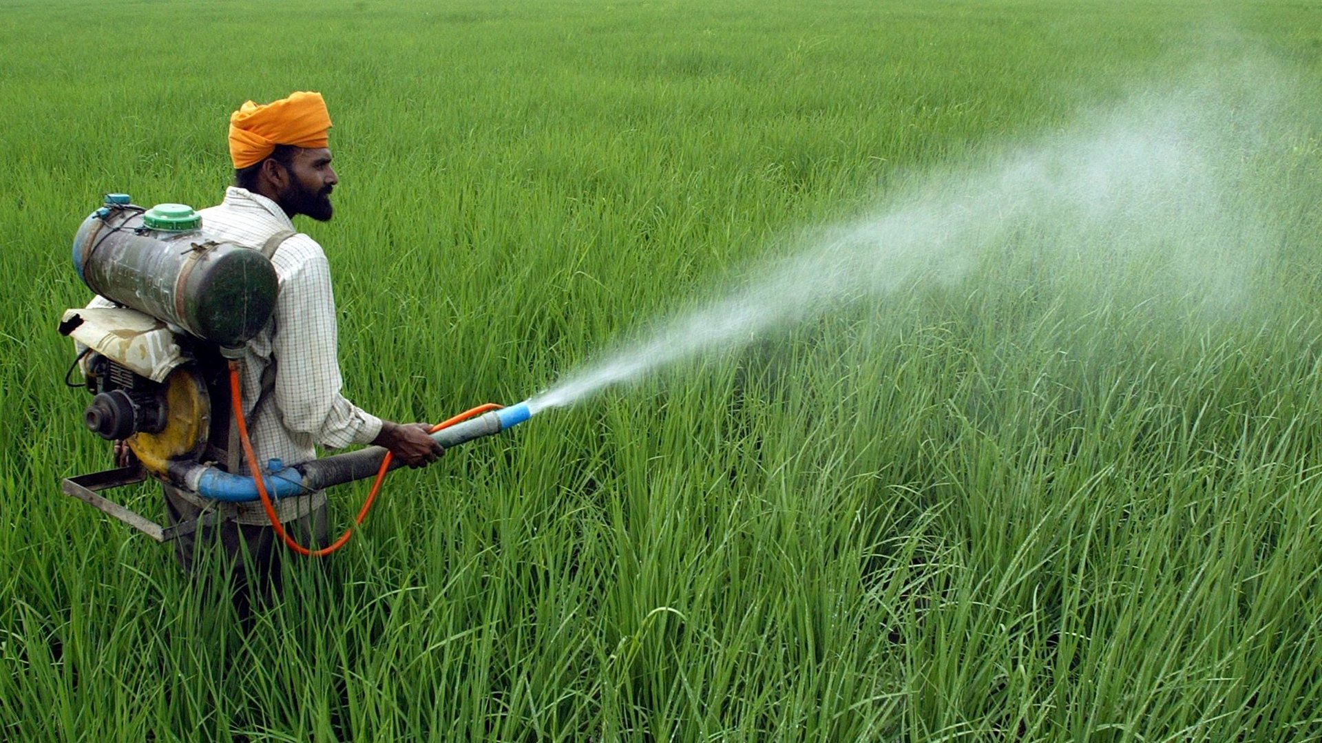Agricultural crop protection spraying in field