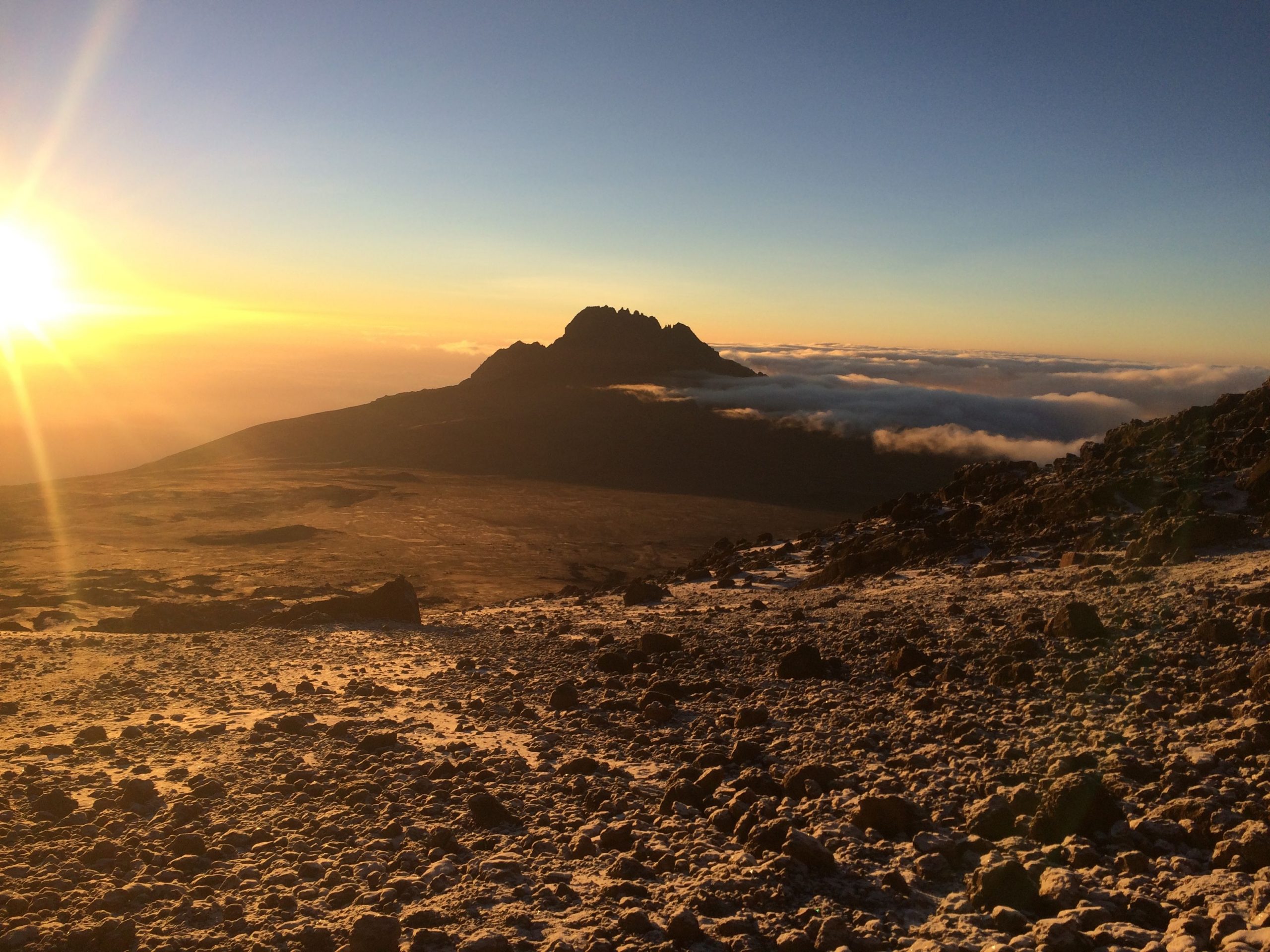 Mawenzi's spires at dawn from the northern circuit