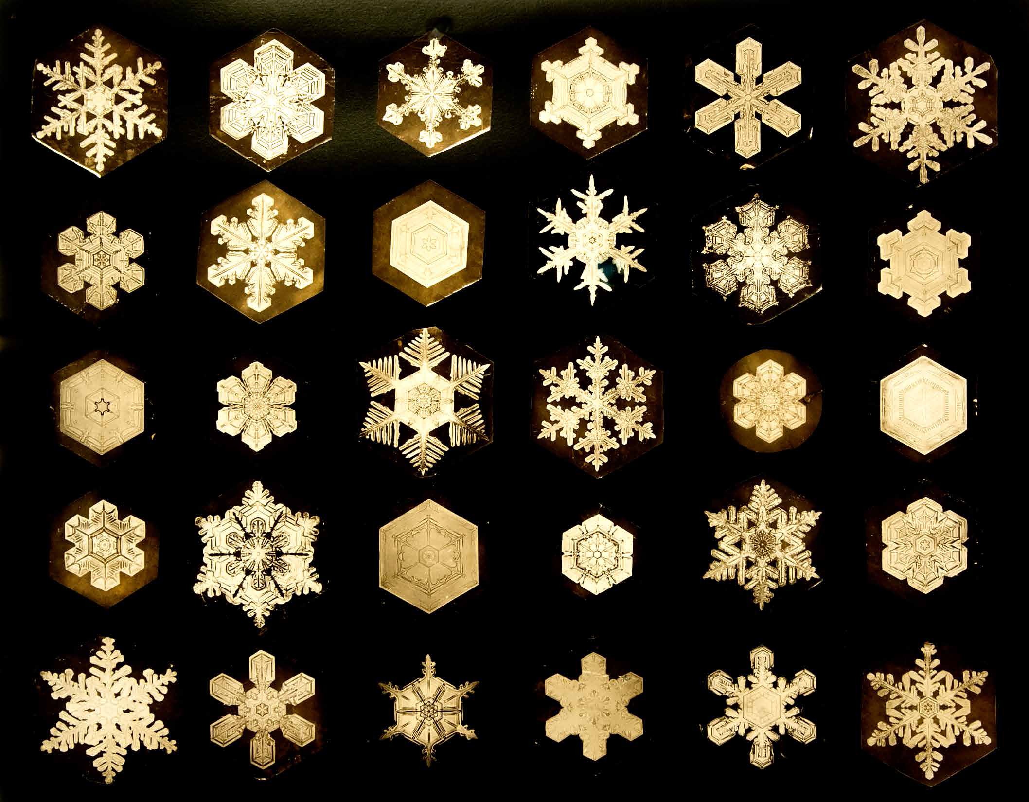 Wilson Bentley snow-crystal plate photographs, 1902.