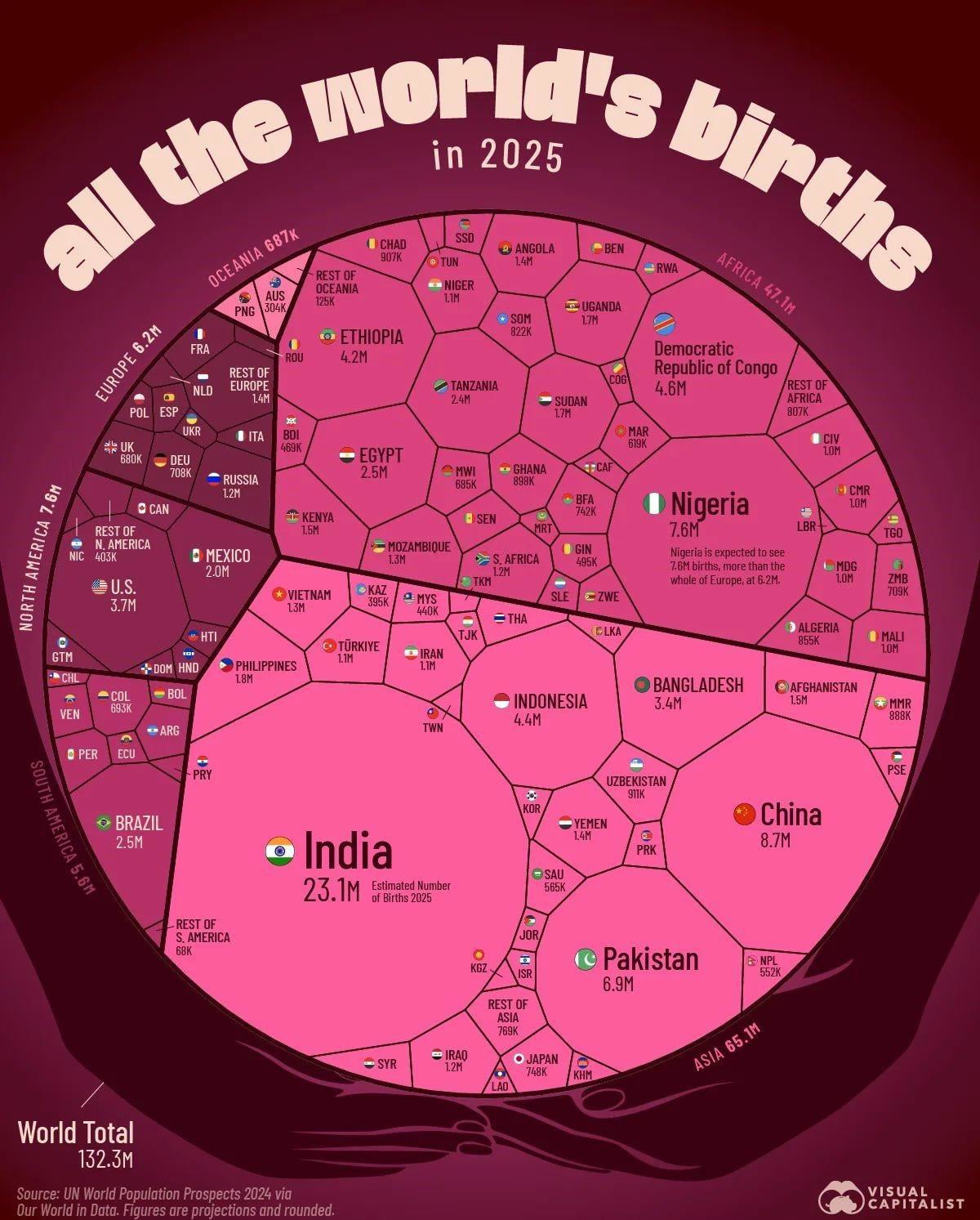 Colorful infographic poster visualizing data about the worlds birds