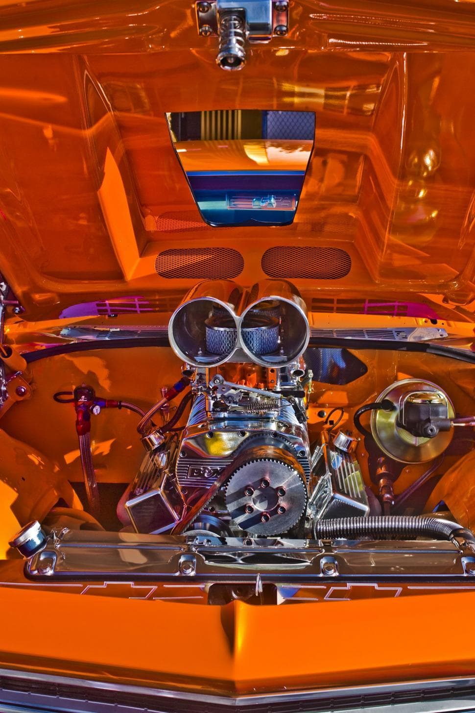 Automotive engine bay showing timing belt and hoses during a maintenance service