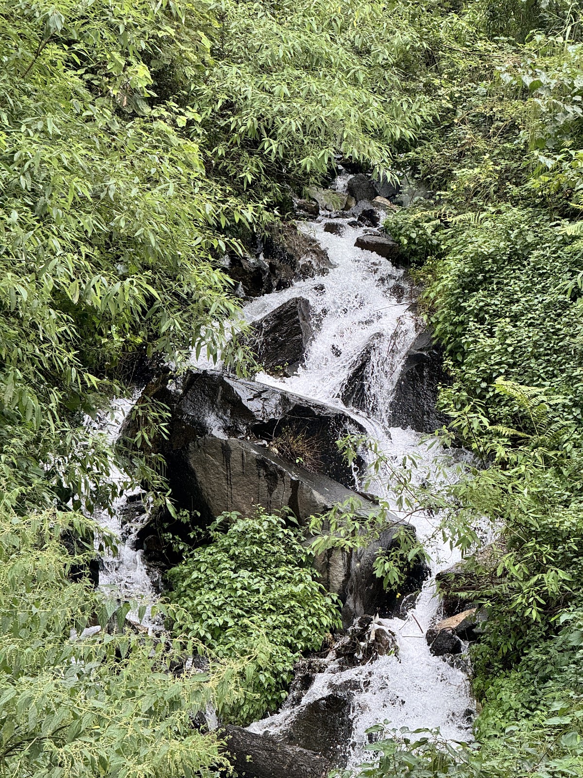 Waterfall crashing through monsoon forest in the Himalayas